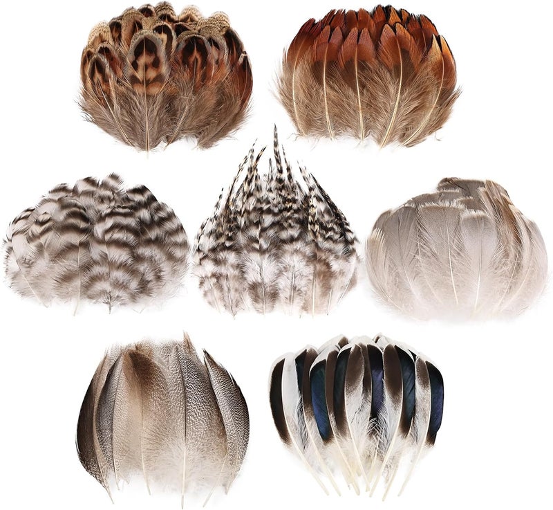 MAOFENG 210pcs 7 Styles Natural Bulk Feathers Assorted Mixed Feathers for DIY Crafts Dream Catcher Wedding Hair Hats Decoration,Guinea Fowl Feathers - Image 1